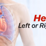 featured image of the blog heart left or right ?